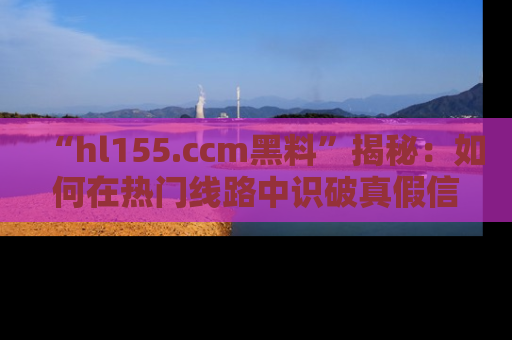 “hl155.ccm黑料”揭秘：如何在热门线路中识破真假信息