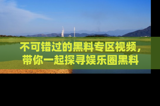 不可错过的黑料专区视频，带你一起探寻娱乐圈黑料