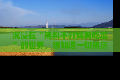 沉浸在“黑料不打烊网吃瓜”的世界，想知道一切黑历史与内幕信息的网站！