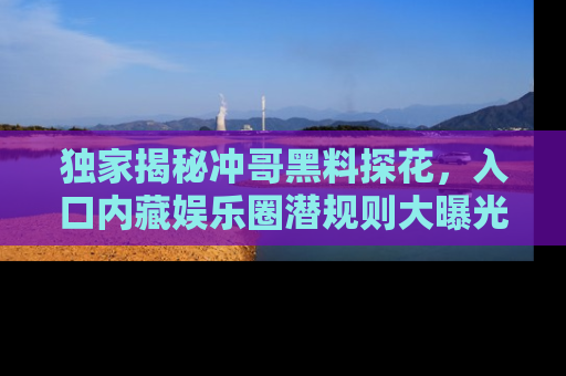 独家揭秘冲哥黑料探花，入口内藏娱乐圈潜规则大曝光