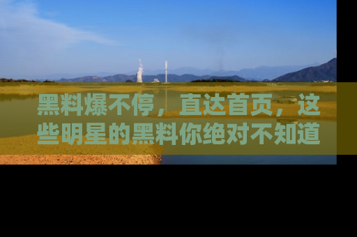 黑料爆不停，直达首页，这些明星的黑料你绝对不知道！