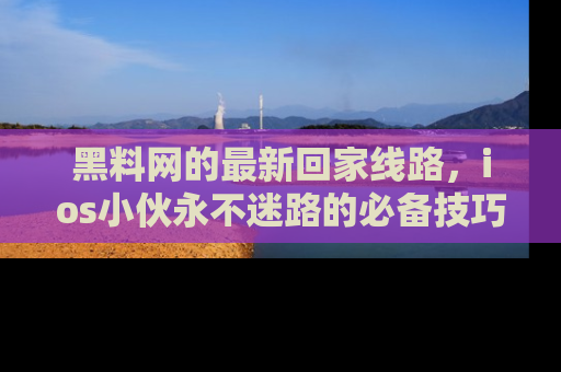 黑料网的最新回家线路，ios小伙永不迷路的必备技巧！