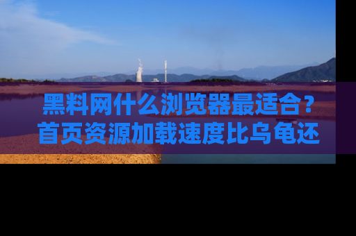 黑料网什么浏览器最适合？首页资源加载速度比乌龟还慢的体验真心吐槽！