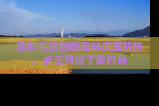 黑料专区独家黑料深度解析，点击网址了解内幕