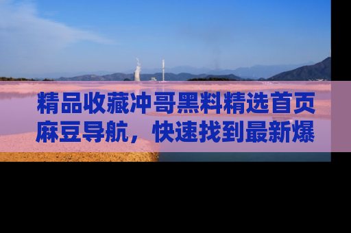 精品收藏冲哥黑料精选首页麻豆导航，快速找到最新爆料