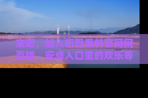 来吧，加入扒哥黑料官网网页版，安卓入口里的欢乐等着你！