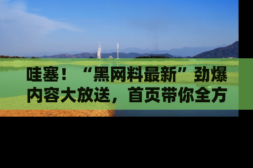 哇塞！“黑网料最新”劲爆内容大放送，首页带你全方位了解哦，小可爱们