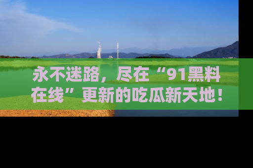 永不迷路,尽在“91黑料在线”更新的吃瓜新天地!