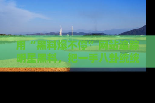 用“黑料爆不停”网站追踪明星黑料,把一手八卦统统收进你的后宫中!