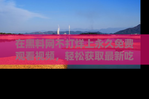 在黑料网不打烊上永久免费观看视频，轻松获取最新吃瓜资讯！