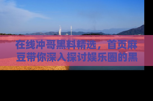 在线冲哥黑料精选，首页麻豆带你深入探讨娱乐圈的黑暗面
