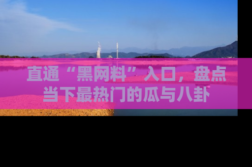 直通“黑网料”入口，盘点当下最热门的瓜与八卦