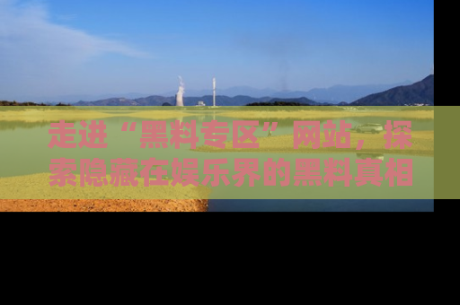 走进“黑料专区”网站，探索隐藏在娱乐界的黑料真相